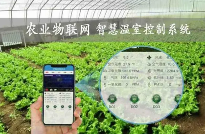 1693901268865.jpg 1693901268865.jpg