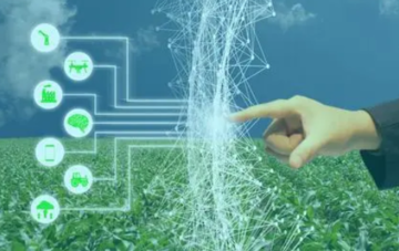 1702022624132.jpg 1702022624132.jpg